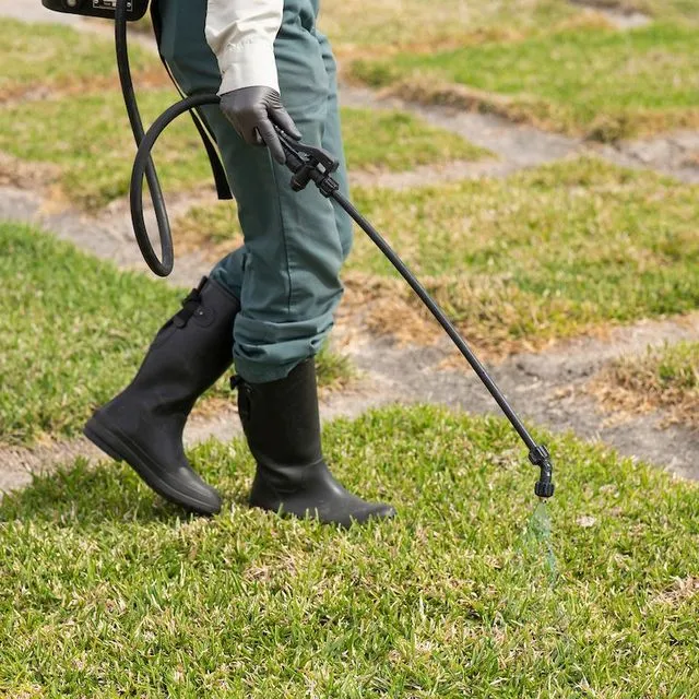 thumbnail for publication: Turfgrass Herbicides: Mode of Action and Resistance Management